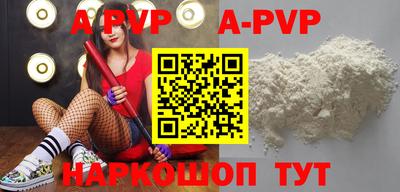 бошки Кингисепп
