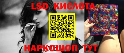 бошки Кингисепп