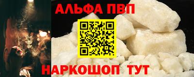 бошки Кингисепп