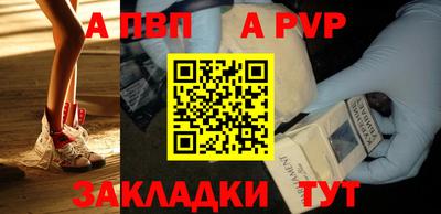 бошки Кингисепп