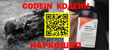 бошки Кингисепп