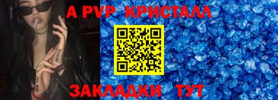 бошки Кингисепп