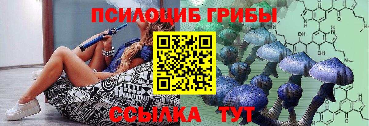 Псилоцибиновые грибы Cubensis Димитровград